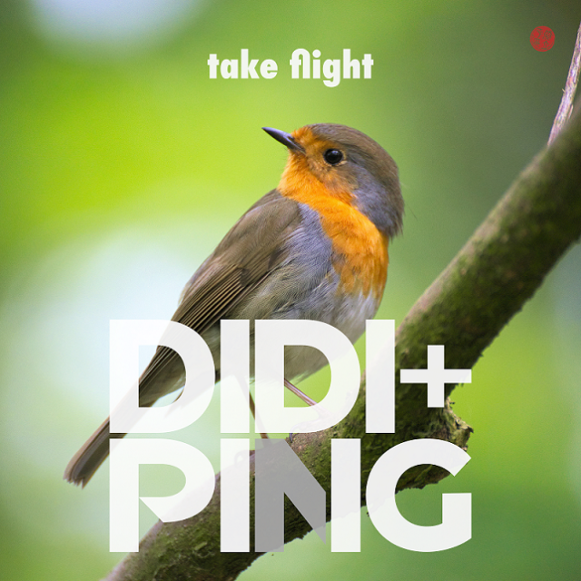Didi + Ping Releases New Single “Take Flight”